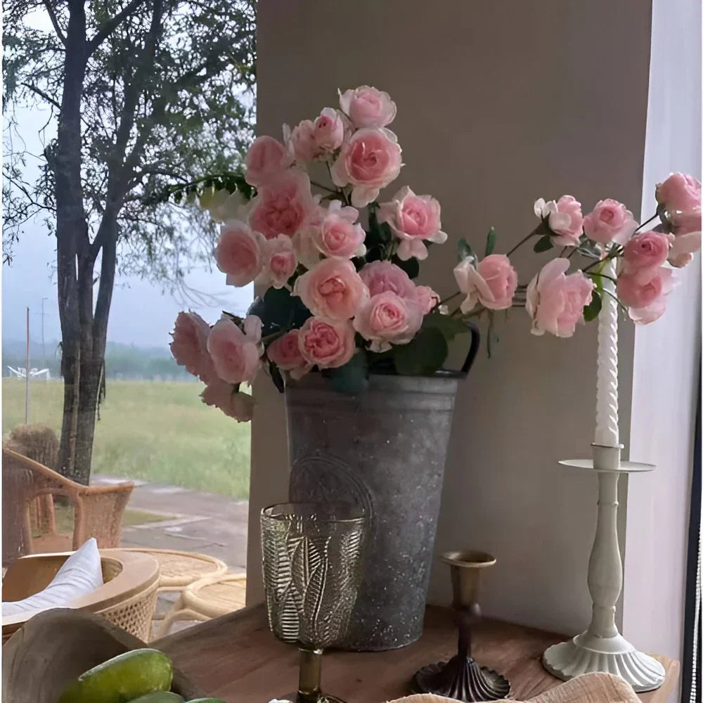 Elegant Climbing Rose Flower Seeds