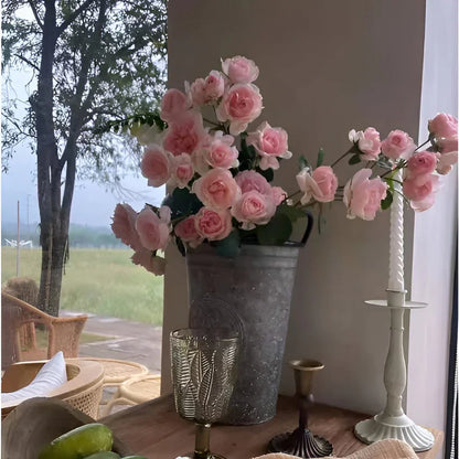 Elegant Climbing Rose Flower Seeds